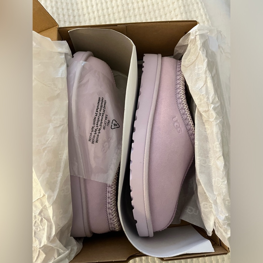 Ugg Tasman